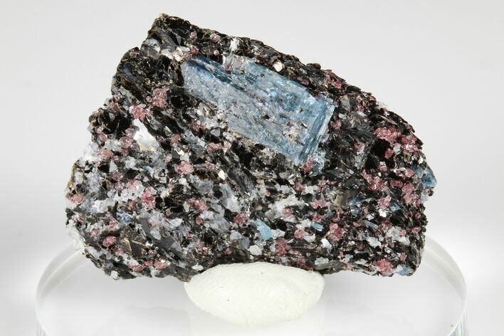 Blue Kyanite & Garnet in Biotite-Quartz Schist - Russia #178942